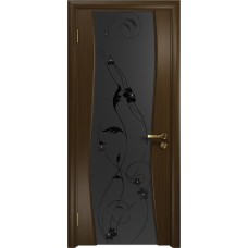 Дверь DioDoor Грация-3 венге черный триплекс Вьюнок матовый